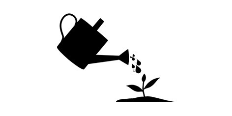 Riego: ¿Con qué frecuencia y en qué cantidad?