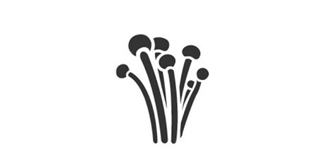 ¿Cómo los hongos afectan a la planta Cannabis sativa?