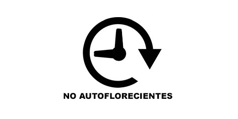 Guía de Cultivo Indoor - Semillas Feminizadas No Autoflorecientes